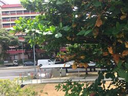 Sing Joo Walk (D8), Apartment #580280401